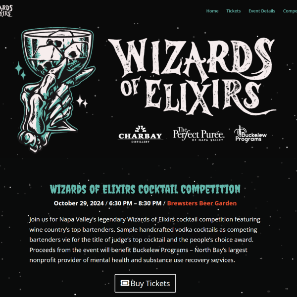 wizards of elixirs 2024